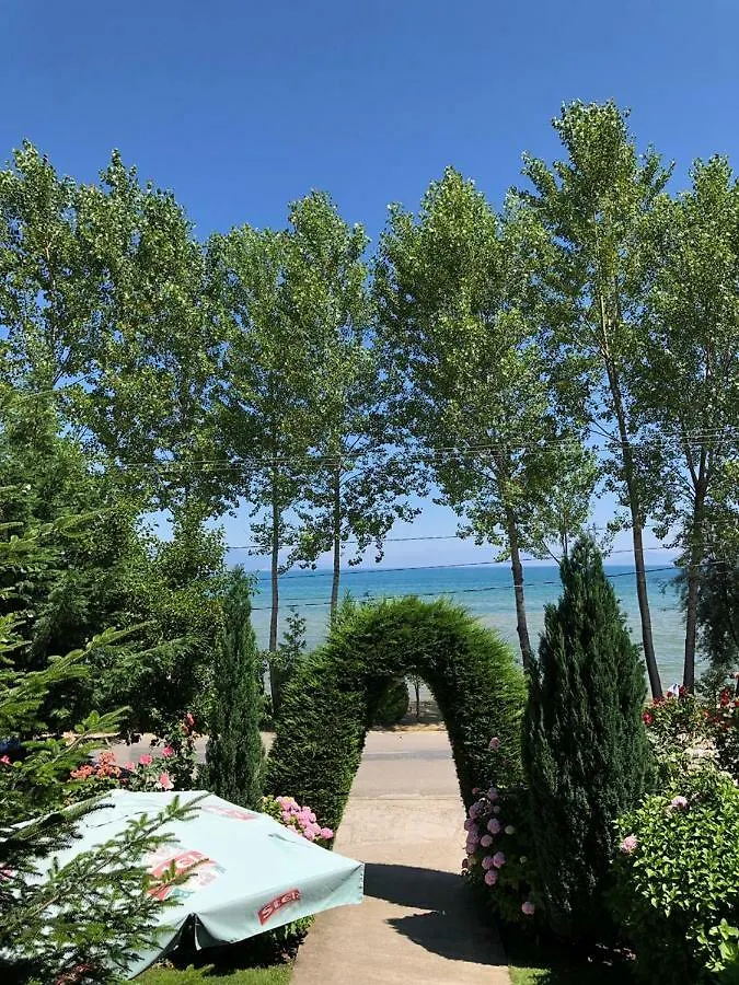Villa Vila Deni Tushemisht Albania
